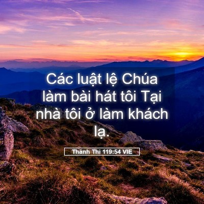 Picture 05 - Thánh Thi 119:54 VIE - Các luật lệ Chúa làm bài hát tôi Tại - Bible Verse Picture