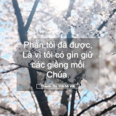 Picture 05 - Thánh Thi 119:56 VIE - Phần tôi đã được, Là vì tôi có gìn - Bible Verse Picture