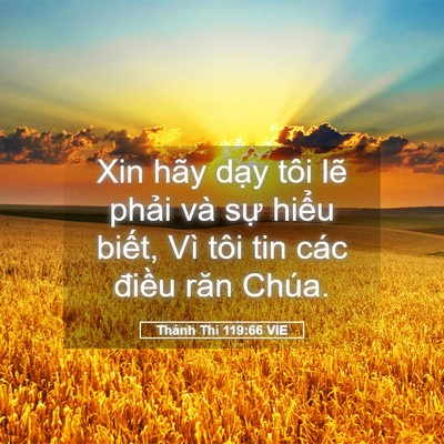 Picture 05 - Thánh Thi 119:66 VIE - Xin hãy dạy tôi lẽ phải và sự hiểu - Bible Verse Picture