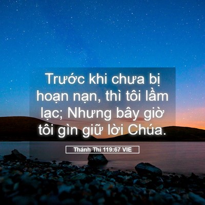 Picture 05 - Thánh Thi 119:67 VIE - Trước khi chưa bị hoạn nạn, thì tôi - Bible Verse Picture