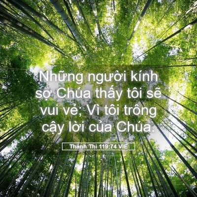 Picture 05 - Thánh Thi 119:74 VIE - Những người kính sợ Chúa thấy tôi - Bible Verse Picture