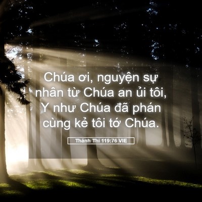 Picture 05 - Thánh Thi 119:76 VIE - Chúa ơi, nguyện sự nhân từ Chúa an ủi - Bible Verse Picture