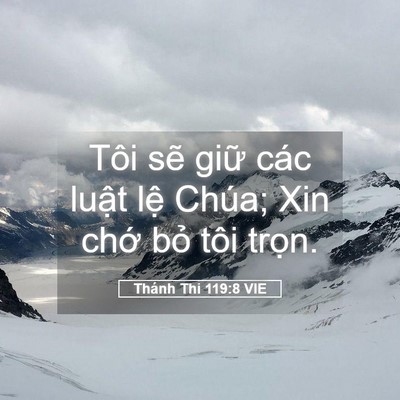 Picture 05 - Thánh Thi 119:8 VIE - Tôi sẽ giữ các luật lệ Chúa; Xin chớ - Bible Verse Picture