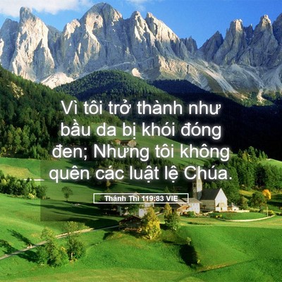Picture 05 - Thánh Thi 119:83 VIE - Vì tôi trở thành như bầu da bị khói - Bible Verse Picture