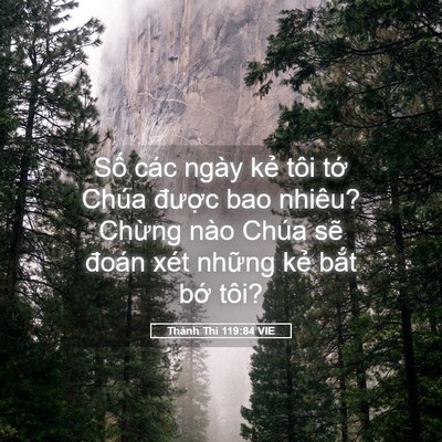 Picture 05 - Thánh Thi 119:84 VIE - Số các ngày kẻ tôi tớ Chúa được bao - Bible Verse Picture
