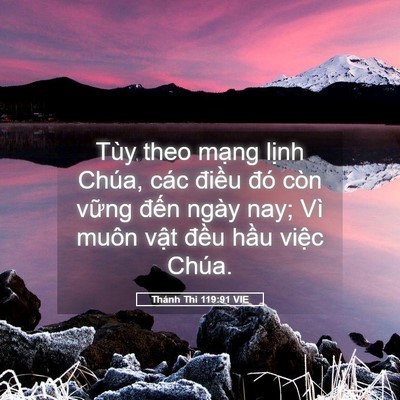 Picture 05 - Thánh Thi 119:91 VIE - Tùy theo mạng lịnh Chúa, các điều đó - Bible Verse Picture