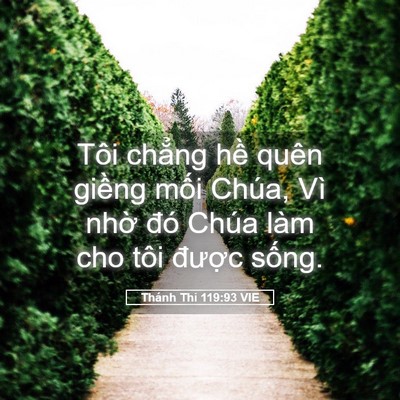 Picture 05 - Thánh Thi 119:93 VIE - Tôi chẳng hề quên giềng mối Chúa, Vì - Bible Verse Picture
