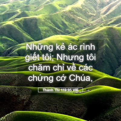 Picture 05 - Thánh Thi 119:95 VIE - Những kẻ ác rình giết tôi; Nhưng tôi - Bible Verse Picture