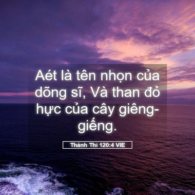 Picture 05 - Thánh Thi 120:4 VIE - Aét là tên nhọn của dõng sĩ, Và than - Bible Verse Picture