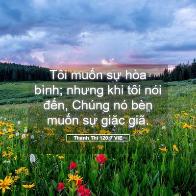 Picture 05 - Thánh Thi 120:7 VIE - Tôi muốn sự hòa bình; nhưng khi tôi nói - Bible Verse Picture