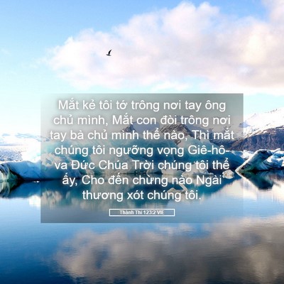 Picture 05 - Thánh Thi 123:2 VIE - Mắt kẻ tôi tớ trông nơi tay ông chủ - Bible Verse Picture