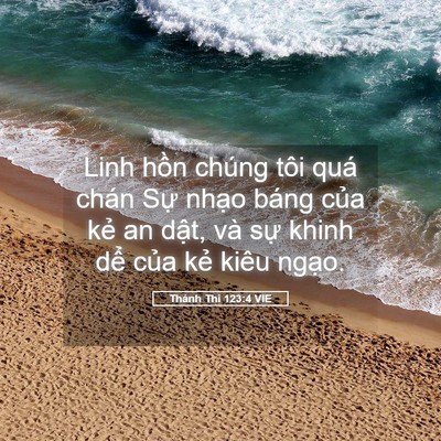 Picture 05 - Thánh Thi 123:4 VIE - Linh hồn chúng tôi quá chán Sự nhạo - Bible Verse Picture