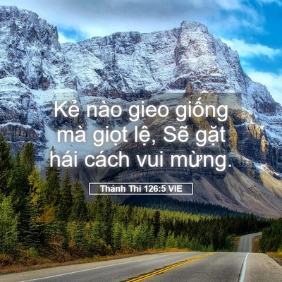 Picture 05 - Thánh Thi 126:5 VIE - Kẻ nào gieo giống mà giọt lệ, Sẽ - Bible Verse Picture