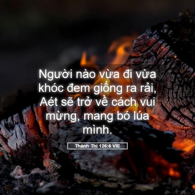 Picture 05 - Thánh Thi 126:6 VIE - Người nào vừa đi vừa khóc đem giống - Bible Verse Picture