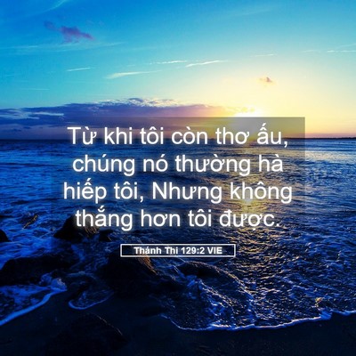 Picture 05 - Thánh Thi 129:2 VIE - Từ khi tôi còn thơ ấu, chúng nó - Bible Verse Picture