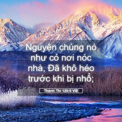 Picture 05 - Thánh Thi 129:6 VIE - Nguyện chúng nó như cỏ nơi nóc nhà, - Bible Verse Picture
