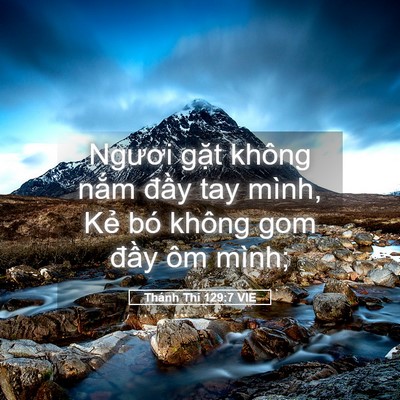 Picture 05 - Thánh Thi 129:7 VIE - Ngươi gặt không nắm đầy tay mình, Kẻ - Bible Verse Picture