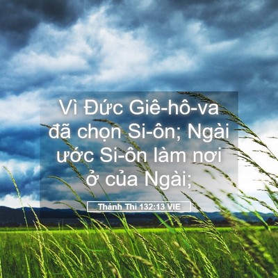 Picture 05 - Thánh Thi 132:13 VIE - Vì Đức Giê-hô-va đã chọn Si-ôn; Ngài - Bible Verse Picture