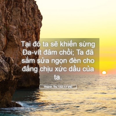 Picture 05 - Thánh Thi 132:17 VIE - Tại đó ta sẽ khiến sừng Đa-vít đâm - Bible Verse Picture