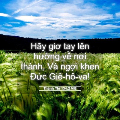 Picture 05 - Thánh Thi 134:2 VIE - Hãy giơ tay lên hướng về nơi thánh, Và - Bible Verse Picture