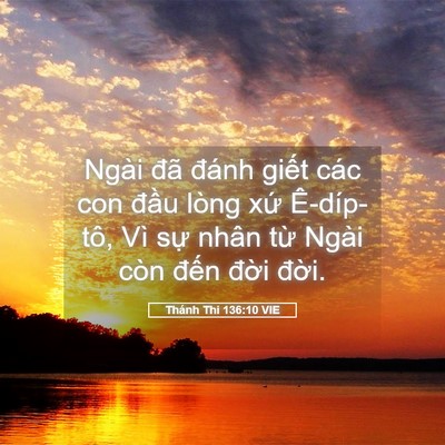 Picture 05 - Thánh Thi 136:10 VIE - Ngài đã đánh giết các con đầu lòng - Bible Verse Picture