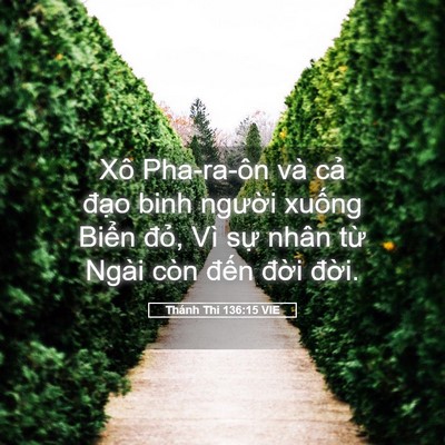 Picture 05 - Thánh Thi 136:15 VIE - Xô Pha-ra-ôn và cả đạo binh người - Bible Verse Picture