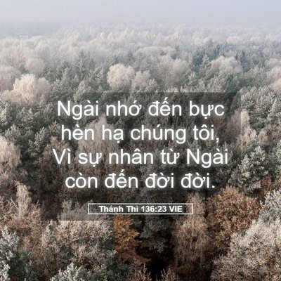 Picture 05 - Thánh Thi 136:23 VIE - Ngài nhớ đến bực hèn hạ chúng tôi, - Bible Verse Picture