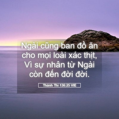 Picture 05 - Thánh Thi 136:25 VIE - Ngài cũng ban đồ ăn cho mọi loài xác - Bible Verse Picture