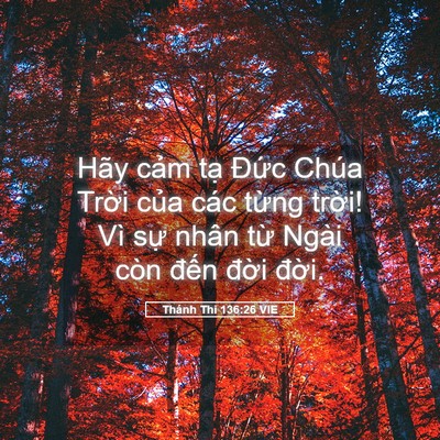 Picture 05 - Thánh Thi 136:26 VIE - Hãy cảm tạ Đức Chúa Trời của các - Bible Verse Picture