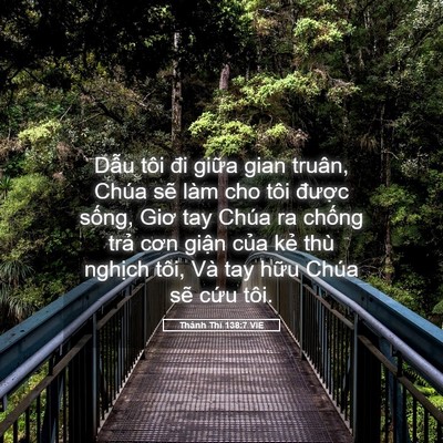 Picture 05 - Thánh Thi 138:7 VIE - Dẫu tôi đi giữa gian truân, Chúa sẽ - Bible Verse Picture