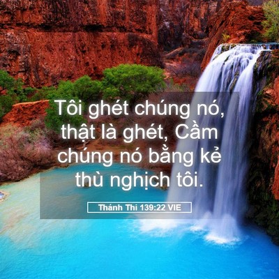 Picture 05 - Thánh Thi 139:22 VIE - Tôi ghét chúng nó, thật là ghét, Cầm - Bible Verse Picture