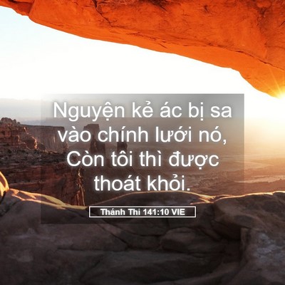 Picture 05 - Thánh Thi 141:10 VIE - Nguyện kẻ ác bị sa vào chính lưới - Bible Verse Picture