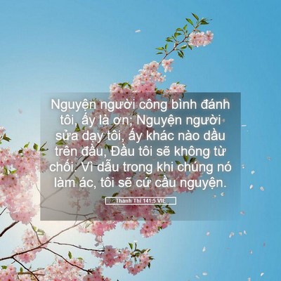 Picture 05 - Thánh Thi 141:5 VIE - Nguyện người công bình đánh tôi, ấy - Bible Verse Picture
