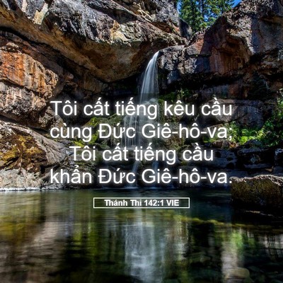 Picture 05 - Thánh Thi 142:1 VIE - Tôi cất tiếng kêu cầu cùng Đức - Bible Verse Picture