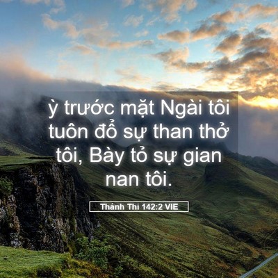 Picture 05 - Thánh Thi 142:2 VIE - ỳ trước mặt Ngài tôi tuôn đổ sự - Bible Verse Picture