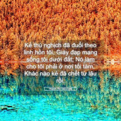 Picture 05 - Thánh Thi 143:3 VIE - Kẻ thù nghịch đã đuổi theo linh hồn - Bible Verse Picture