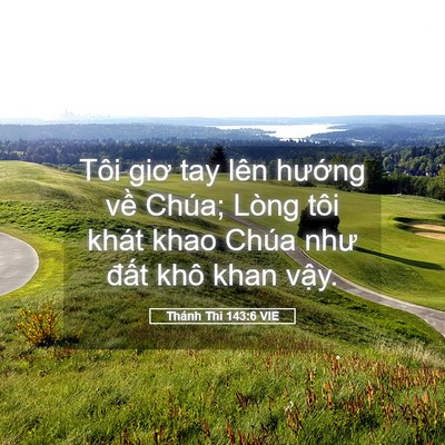 Picture 05 - Thánh Thi 143:6 VIE - Tôi giơ tay lên hướng về Chúa; Lòng - Bible Verse Picture