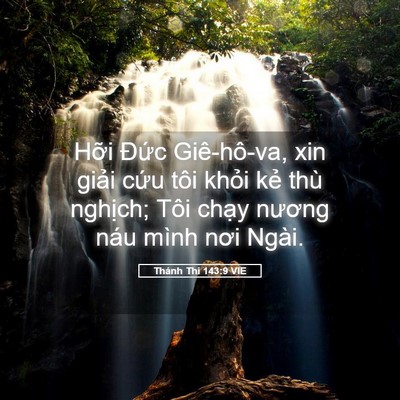 Picture 05 - Thánh Thi 143:9 VIE - Hỡi Đức Giê-hô-va, xin giải cứu tôi - Bible Verse Picture