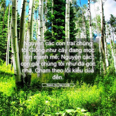 Picture 05 - Thánh Thi 144:12 VIE - Nguyện các con trai chúng tôi Giống như - Bible Verse Picture