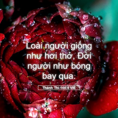Picture 05 - Thánh Thi 144:4 VIE - Loài người giống như hơi thở, Đời - Bible Verse Picture