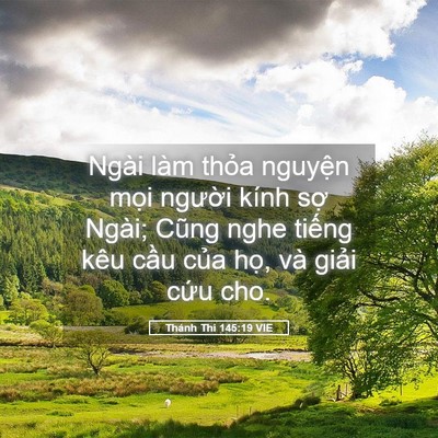 Picture 05 - Thánh Thi 145:19 VIE - Ngài làm thỏa nguyện mọi người kính - Bible Verse Picture