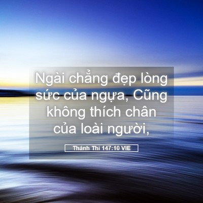 Picture 05 - Thánh Thi 147:10 VIE - Ngài chẳng đẹp lòng sức của ngựa, - Bible Verse Picture