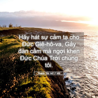 Picture 05 - Thánh Thi 147:7 VIE - Hãy hát sự cảm tạ cho Đức Giê-hô-va, - Bible Verse Picture