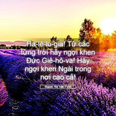 Picture 05 - Thánh Thi 148:1 VIE - Ha-lê-lu-gia! Từ các từng trời hãy - Bible Verse Picture