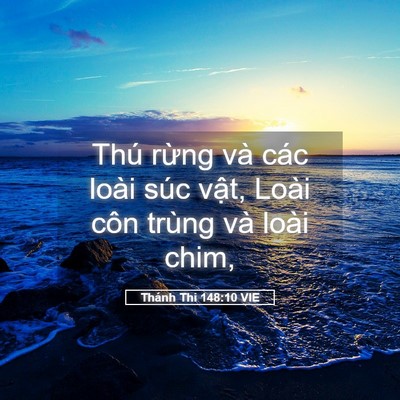 Picture 05 - Thánh Thi 148:10 VIE - Thú rừng và các loài súc vật, Loài côn - Bible Verse Picture