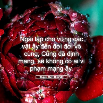 Picture 05 - Thánh Thi 148:6 VIE - Ngài lập cho vững các vật ấy đến - Bible Verse Picture