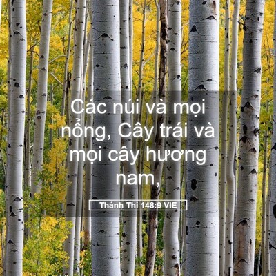 Picture 05 - Thánh Thi 148:9 VIE - Các núi và mọi nổng, Cây trái và mọi - Bible Verse Picture