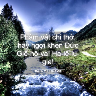 Picture 05 - Thánh Thi 150:6 VIE - Phàm vật chi thở, hãy ngợi khen Đức - Bible Verse Picture