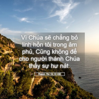 Picture 05 - Thánh Thi 16:10 VIE - Vì Chúa sẽ chẳng bỏ linh hồn tôi trong - Bible Verse Picture
