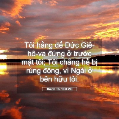 Picture 05 - Thánh Thi 16:8 VIE - Tôi hằng để Đức Giê-hô-va đứng ở - Bible Verse Picture
